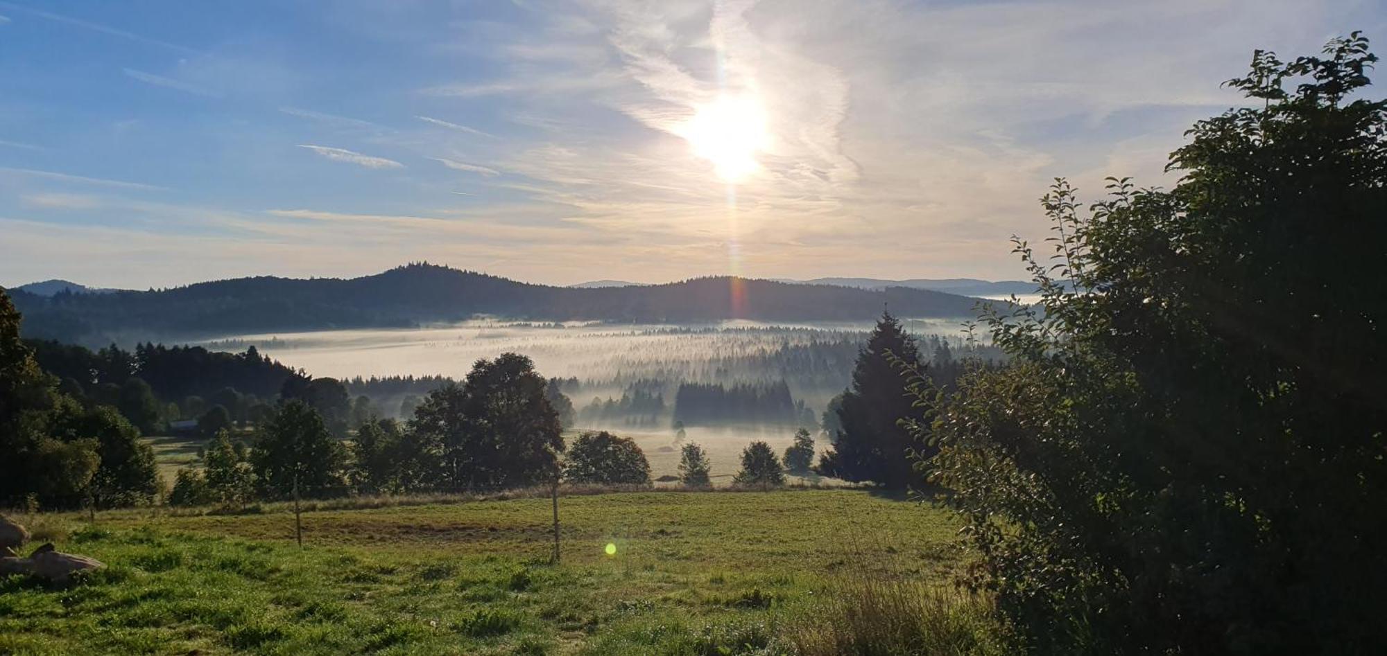 Ferienwohnungen Mende Haidmühle Exterior foto